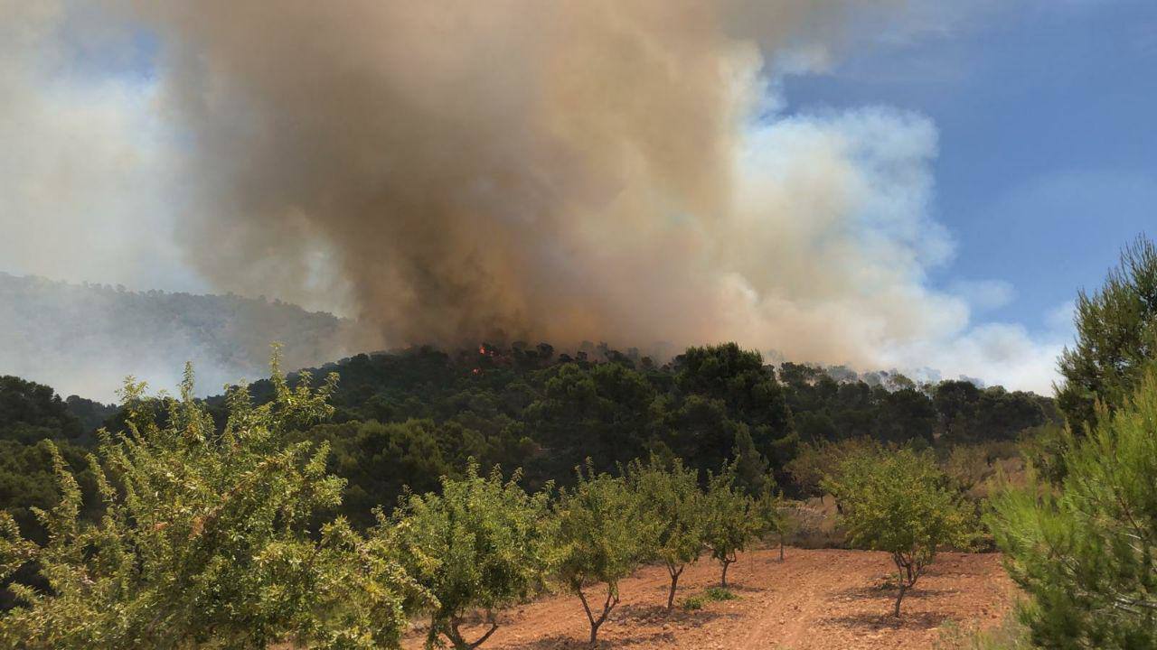 Varias dotaciones de bomberos trabajan para extinguir el fuego que afecta a la localidad alicantina.