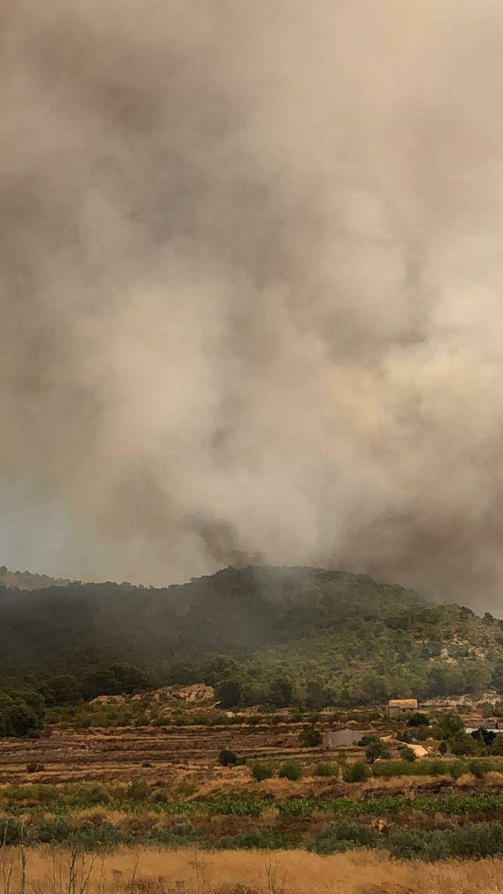 Varias dotaciones de bomberos trabajan para extinguir el fuego que afecta a la localidad alicantina.