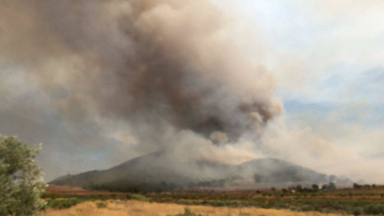 Varias dotaciones de bomberos trabajan para extinguir el fuego que afecta a la localidad alicantina.