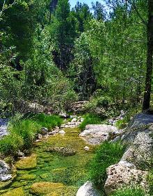 Imagen secundaria 2 - Ruta de los Molinos de Agua de Lucena del Cid. 