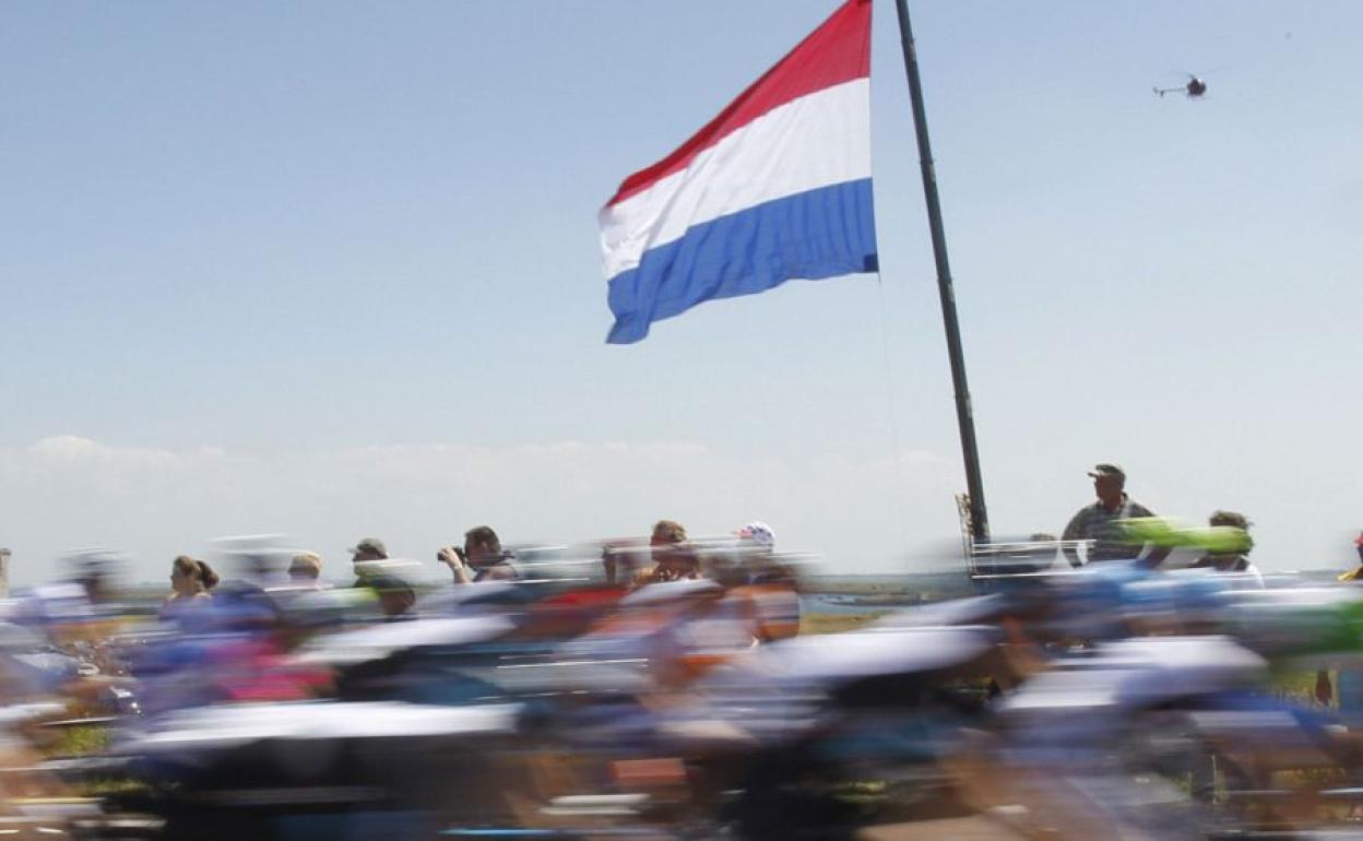 Pelotón ciclista por una carretera de Holanda.