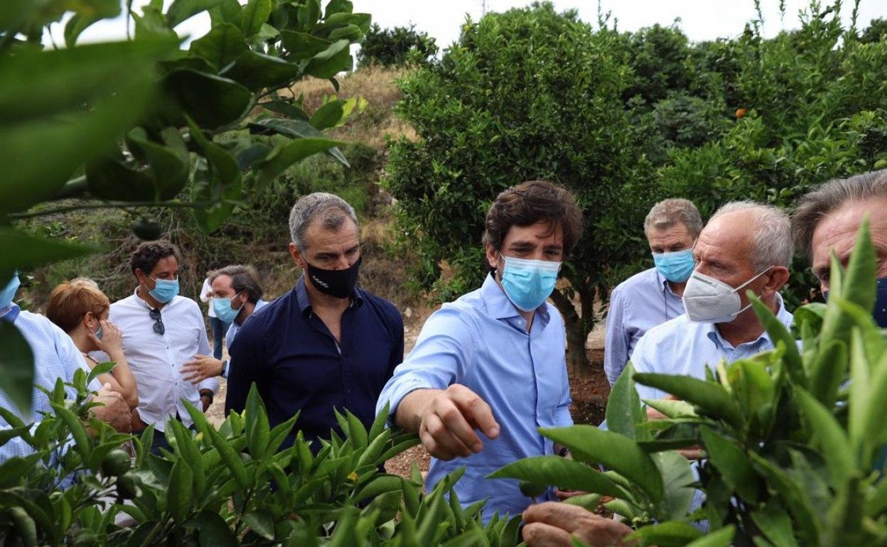 Ciudadanos lleva al Parlamento Europeo el desastre causado por un insecto importado