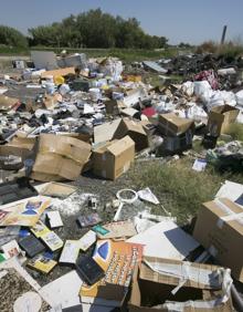 Imagen secundaria 2 - Residuos y basura en la Albufera.