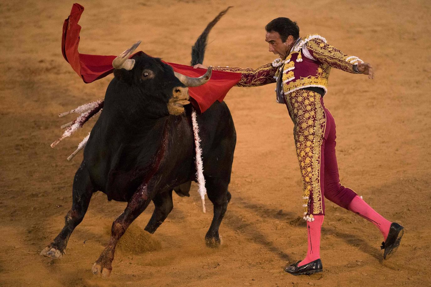 Fotos Corrida de toros en Osuna Las Provincias