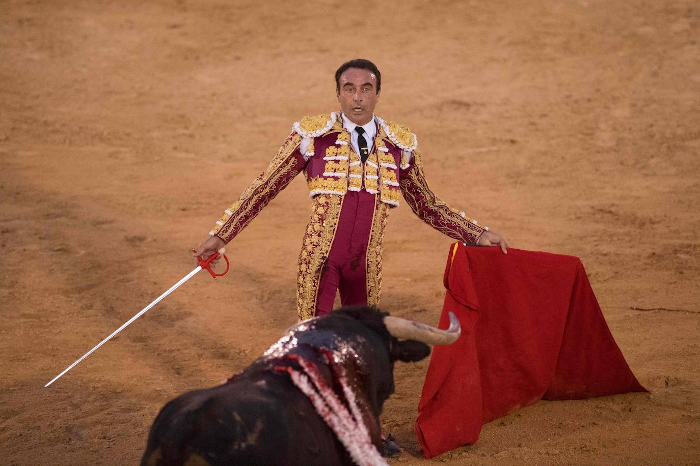 Fotos Corrida de toros en Osuna Las Provincias