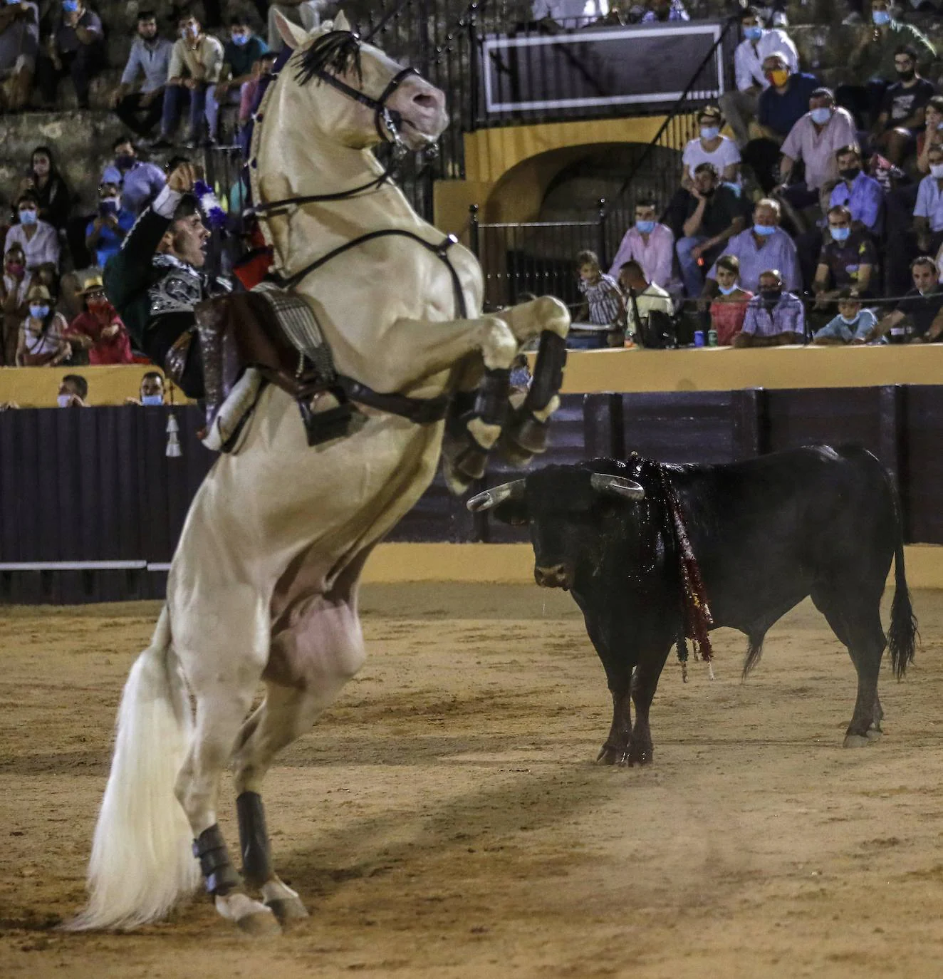 Fotos Corrida de toros en Osuna Las Provincias