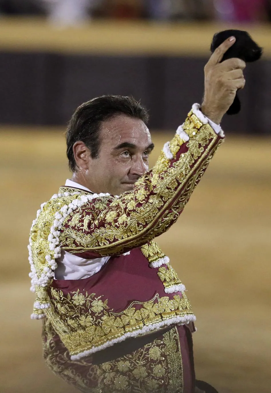 Fotos Corrida de toros en Osuna Las Provincias