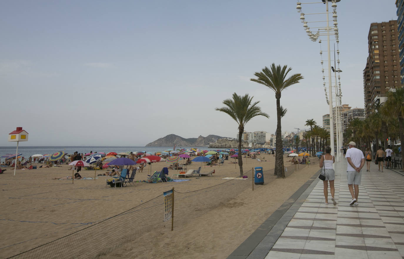 Las imágenes que ayer, el primer día de agosto, y de los últimos días de julio, mostraban la playa de Levante de Benidorm eran absolutamente inusuales para esta época del año. Con hamacas y parasoles vacíos y amplios espacios sin ocupar. 