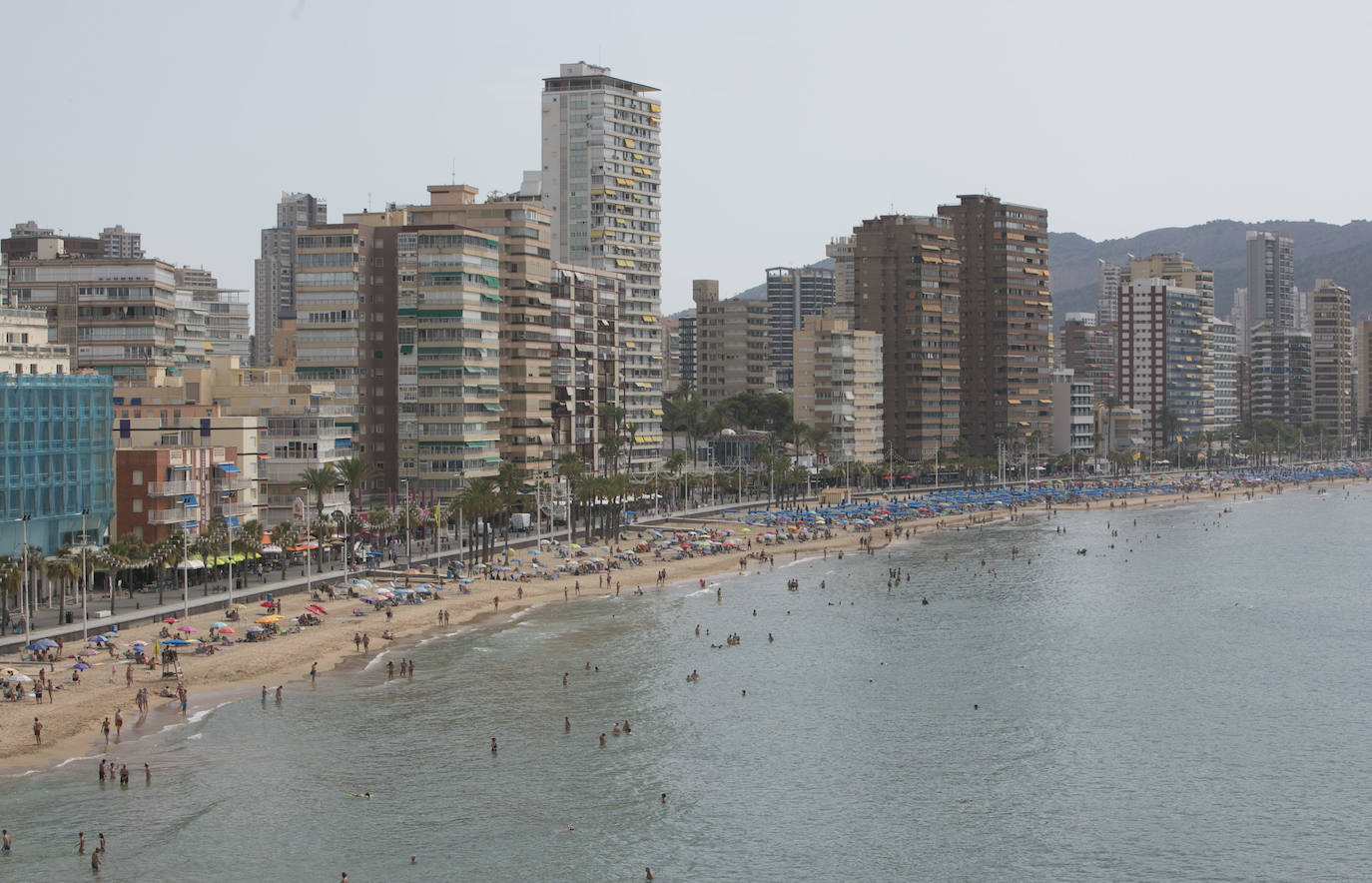 Las imágenes que ayer, el primer día de agosto, y de los últimos días de julio, mostraban la playa de Levante de Benidorm eran absolutamente inusuales para esta época del año. Con hamacas y parasoles vacíos y amplios espacios sin ocupar. 