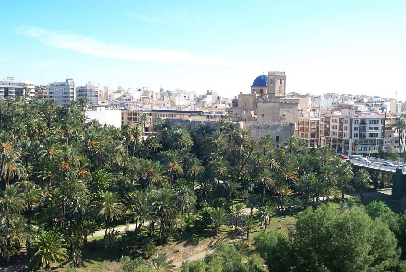 41. Palmeral de Elche, Alicante. 