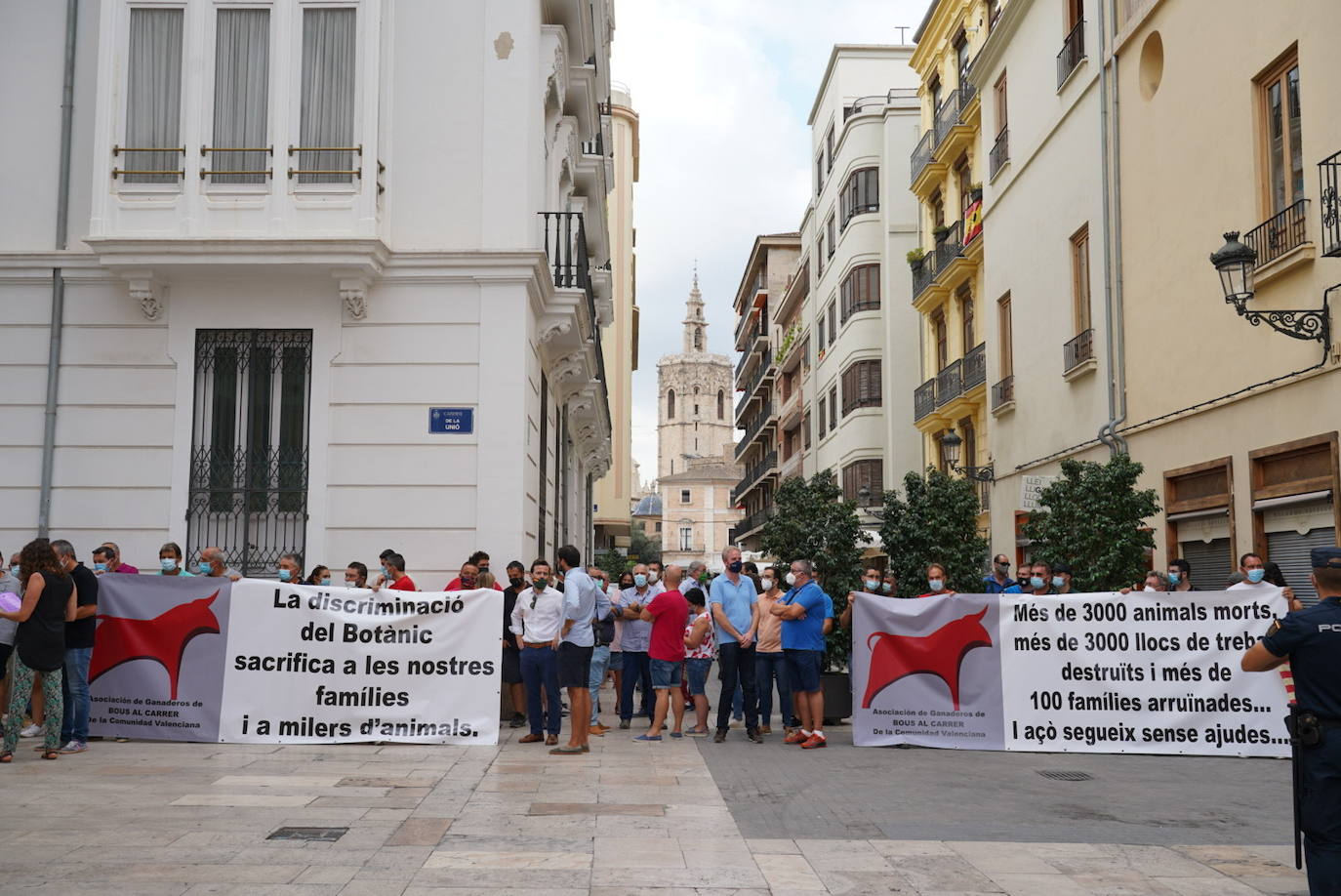 La Asociación de Ganaderos de Bous al Carrer de la Comunitat, junto a Ava-Asaja y La Unió de Llauradors, se concentra para reclamar a la Generalitat medidas de auxilio que eviten el sacrificio de más animales debido a la cancelación de festejos taurinos por el coronavirus.