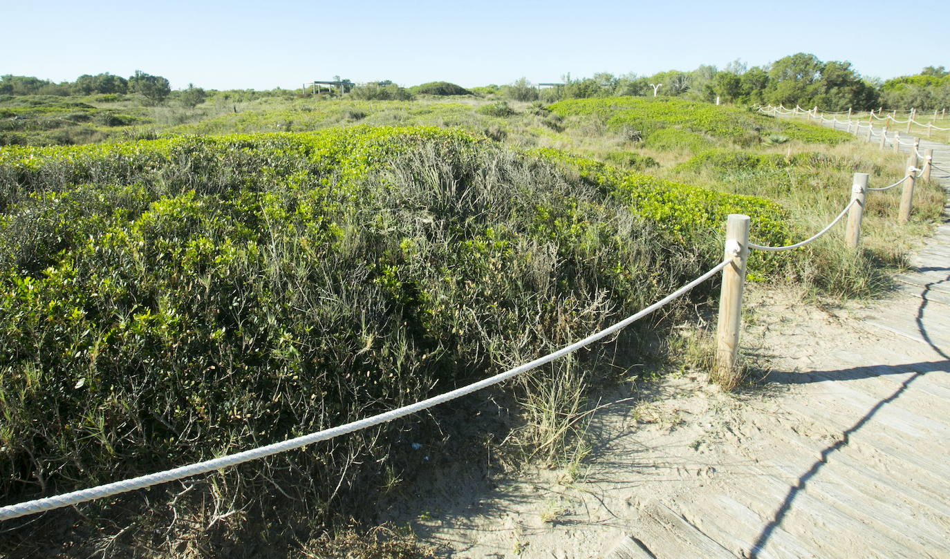 18. Dunas de El Saler (Valencia).