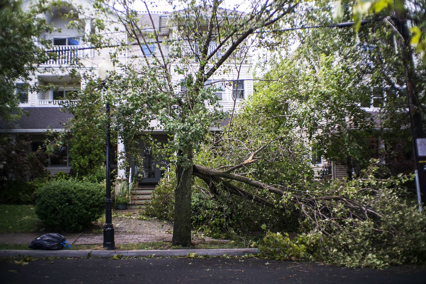 Al menos cuatro personas murieron a raíz de la tormenta tropical Isaías, que barría este miércoles la costa este de Estados Unidos con fuertes vientos y lluvias, dejando a unos tres millones de habitantes sin electricidad. El huracán causaba estragos, tapizando las calles de escombros, cerrando carreteras y obligando a cancelar de decenas de vuelos. Las autoridades de Nueva York instalaron diques de protección en el bajo Manhattan en previsión de un aumento en los niveles del agua. 