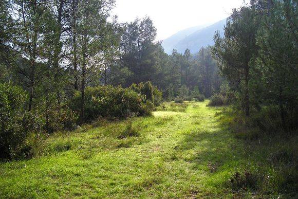 44. Paraje natural de Tabarla, Yátova (Valencia).