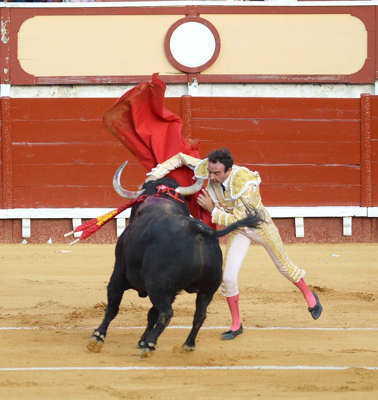 Enrique Ponce sufrió este jueves un susto en El Puerto de Santa María. Su primer toro de la tarde le dio un revolcón -afortunadamente sin consecuencias- al entrar a matar. En el tendido, como testigo, su nueva pareja sentimental, Ana Soria. La joven reaccionó con temor ante las consecuencias de la cogida. El diestro de Chiva se dirigió hacia ella para tranquilizarla tras rematar la faena. 