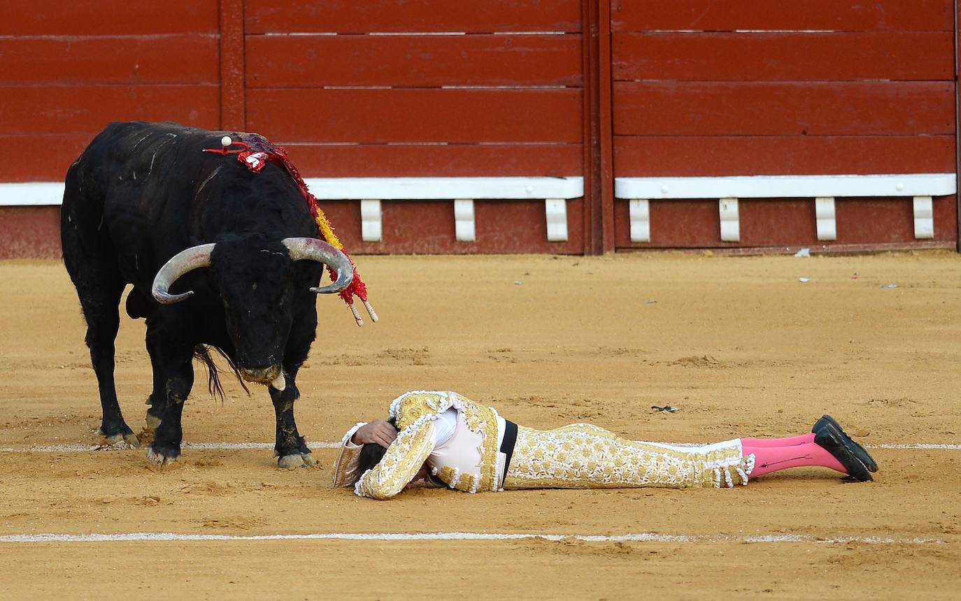 Enrique Ponce sufrió este jueves un susto en El Puerto de Santa María. Su primer toro de la tarde le dio un revolcón -afortunadamente sin consecuencias- al entrar a matar. En el tendido, como testigo, su nueva pareja sentimental, Ana Soria. La joven reaccionó con temor ante las consecuencias de la cogida. El diestro de Chiva se dirigió hacia ella para tranquilizarla tras rematar la faena. 