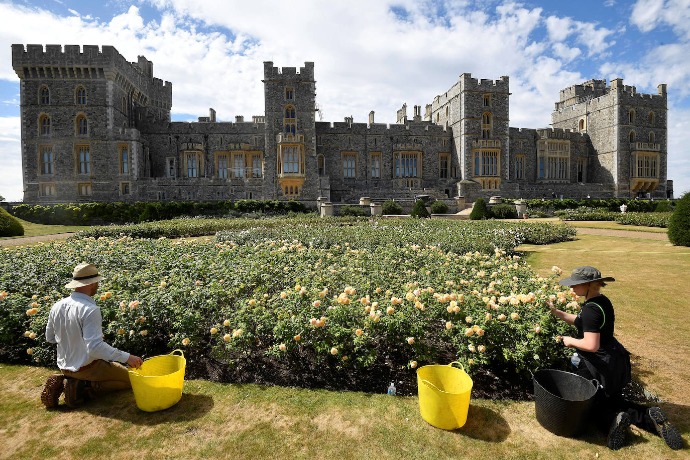 El Castillo de Windsor, una de las residencias oficiales de la Reina Isabel de Gran Bretaña, abrirá su jardín East Terrace Garden al público por primera vez en más de 40 años. 