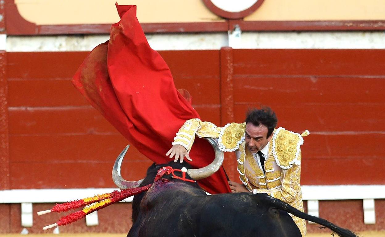 El diestro en la corrida en la que sufrió la cogida. 