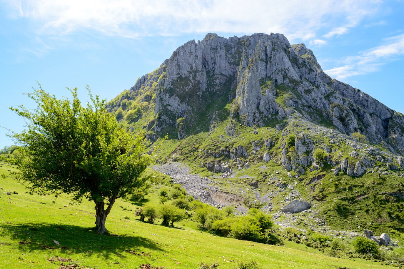 Parque Natural del Gorbea, País Vasco. 