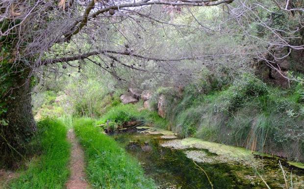 Imagen principal - Ruta de ascenso al Gorgo de la Sierra Calderona. 