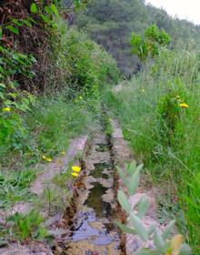 Imagen secundaria 2 - Ruta de ascenso al Gorgo de la Sierra Calderona. 