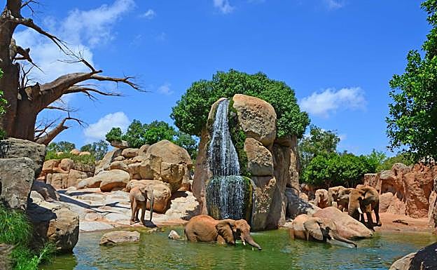 «Ocio con causa» para disfrutar con seguridad estas vacaciones en BIOPARC Valencia