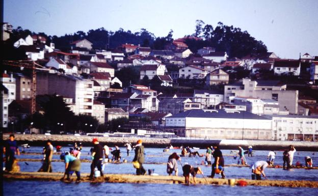 Vigo . Los viajes por España también 