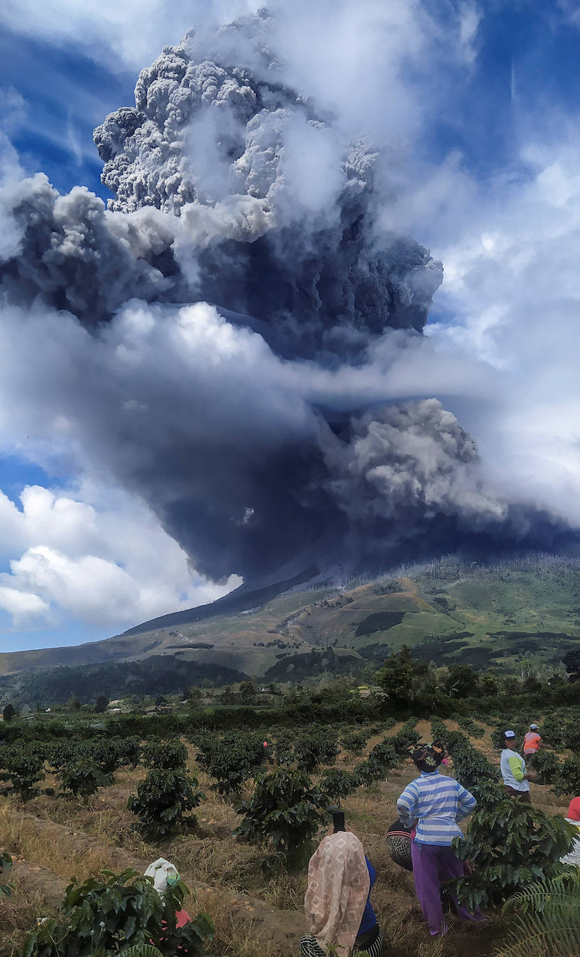 El volcán indonesio Sinabung ha entrado de nuevo en erupción este jueves, con una serie de explosiones que lanzaron columnas de cenizas de hasta dos kilómetros de altura, lo que provocó una alerta aérea y temores de ríos de lava. Se trata de la octava erupción en menos de una semana de este volcán ubicado en la isla de Sumatra, pero por el momento no se han reportado víctimas ni daños mayores. Su última erupción mortífera fue en 2016. El volcán se reactivó en 2010 tras 400 años dormido. Una nueva erupción se produjo en 2013 y desde entonces está muy activo. 