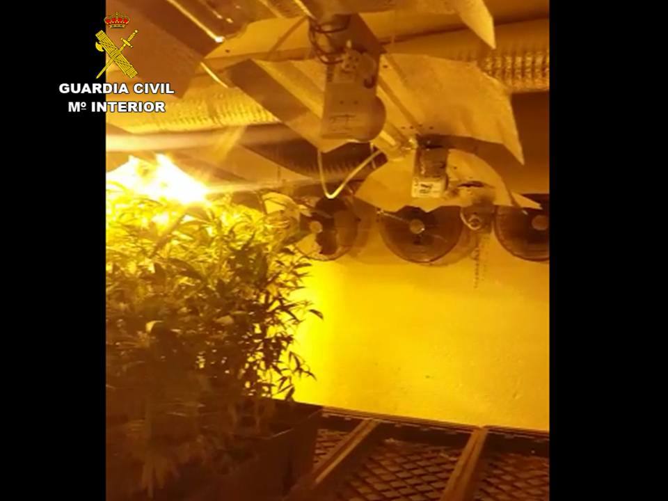 Imagen secundaria 2 - Imágenes de la instalación de cultivo indoor.