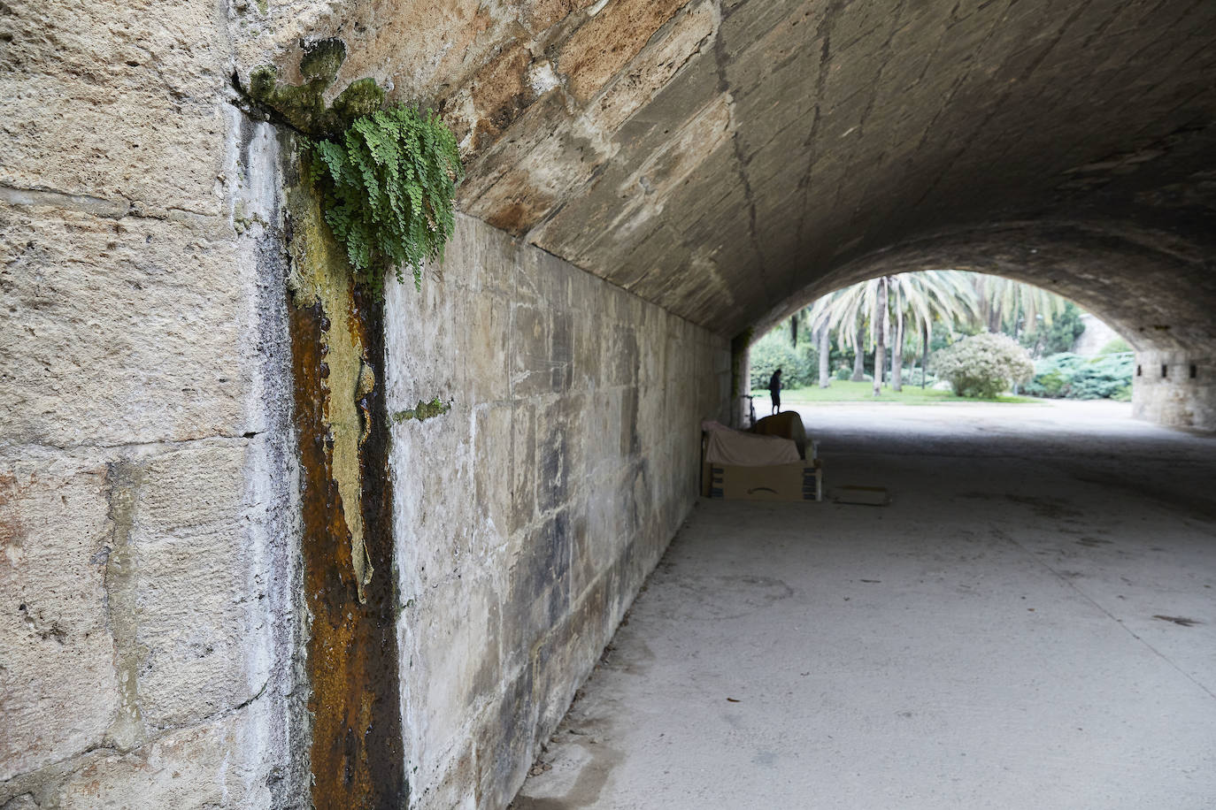 Jardín del Turia. Círculo de la Defensa del Patrimonio y vecinos del Tramo IX exigen un mantenimiento para evitar que los matorrales dañen los pretiles y pasarelas históricas 