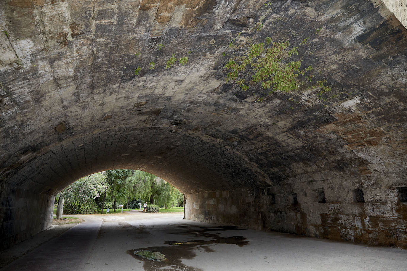 Jardín del Turia. Círculo de la Defensa del Patrimonio y vecinos del Tramo IX exigen un mantenimiento para evitar que los matorrales dañen los pretiles y pasarelas históricas 