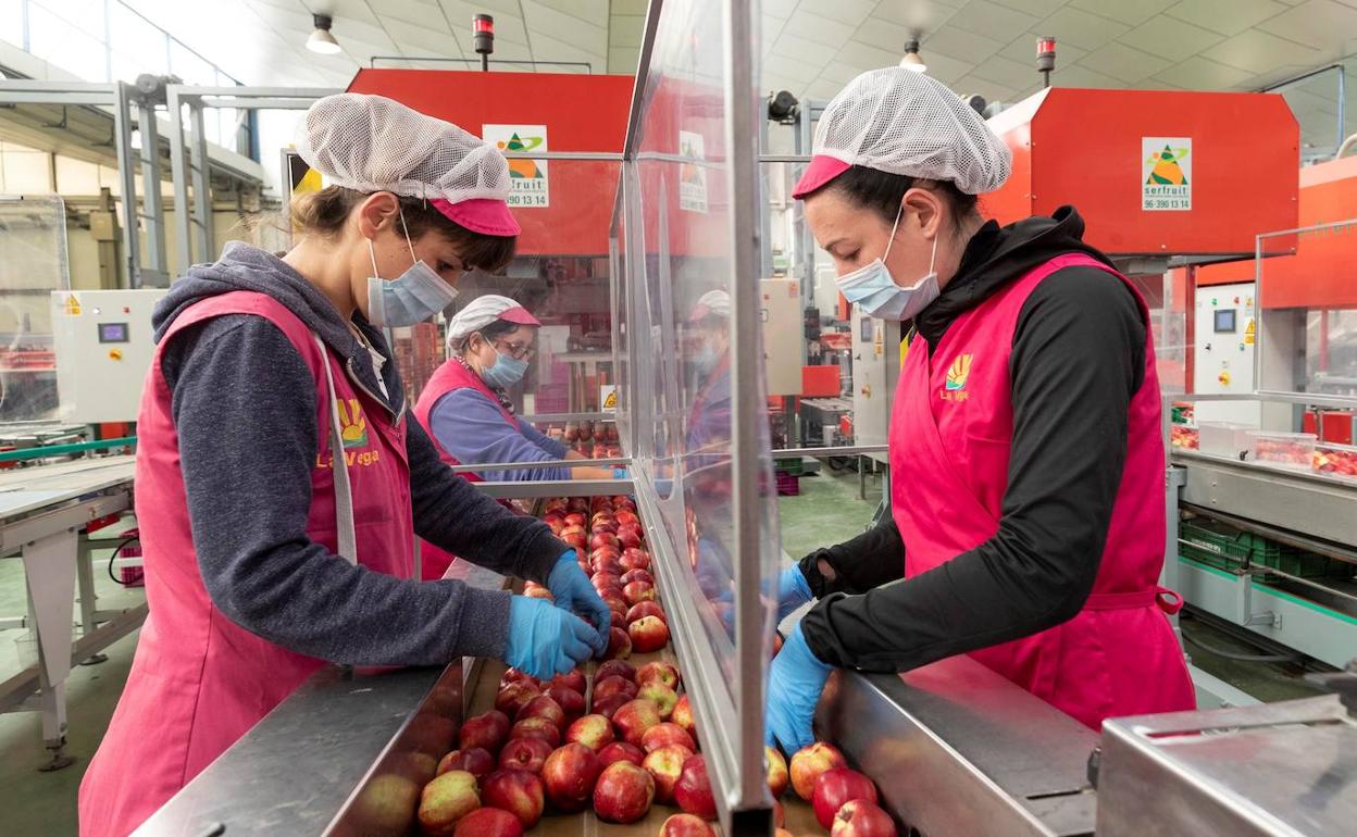 El sector de la alimentación fue uno de los que más contribuyó a la recuperación de las ventas al exterior 