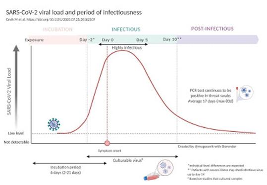 Evolución de los niveles de infectividad.