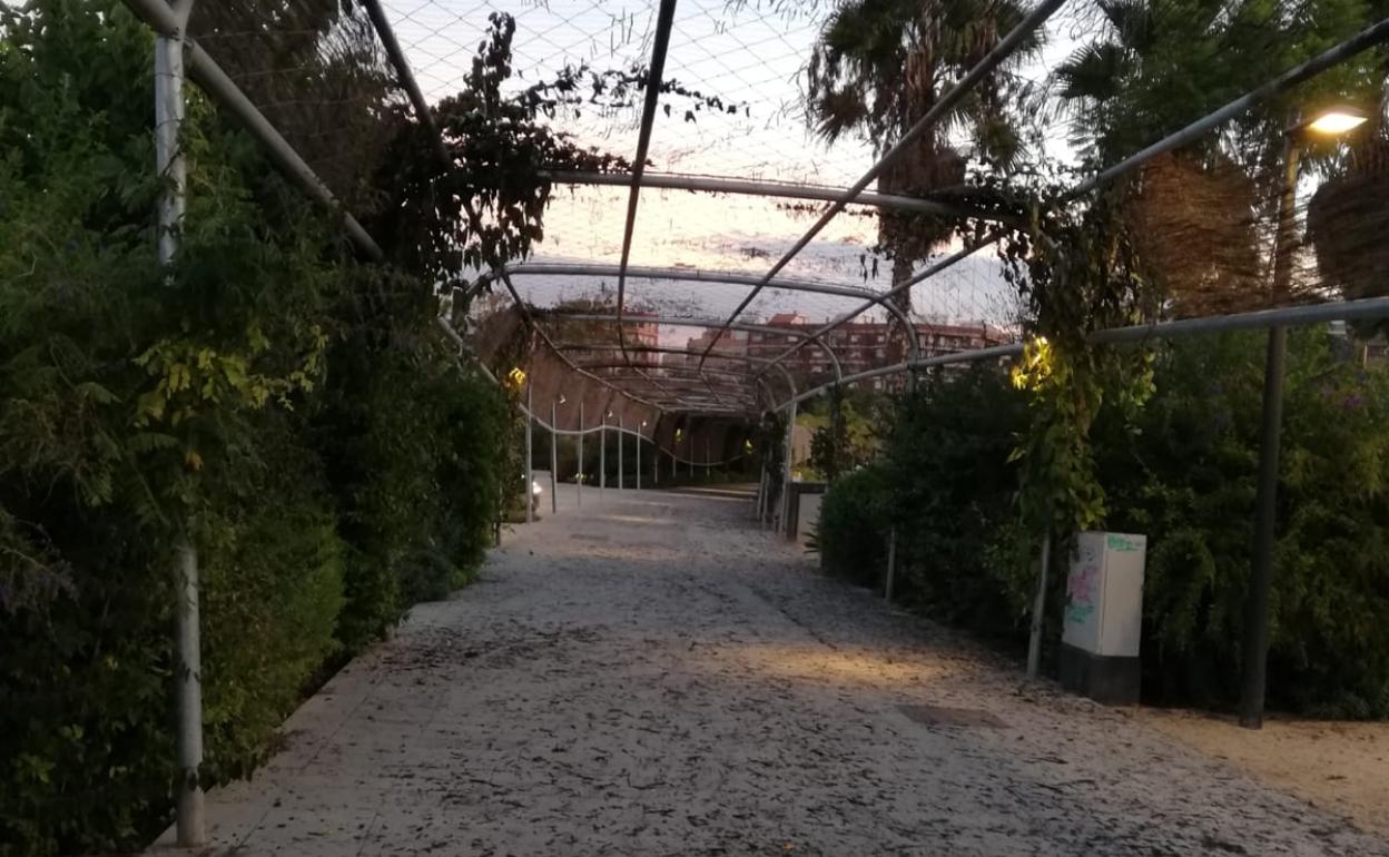 Los daños en la pérgola metálica, en la imagen. 