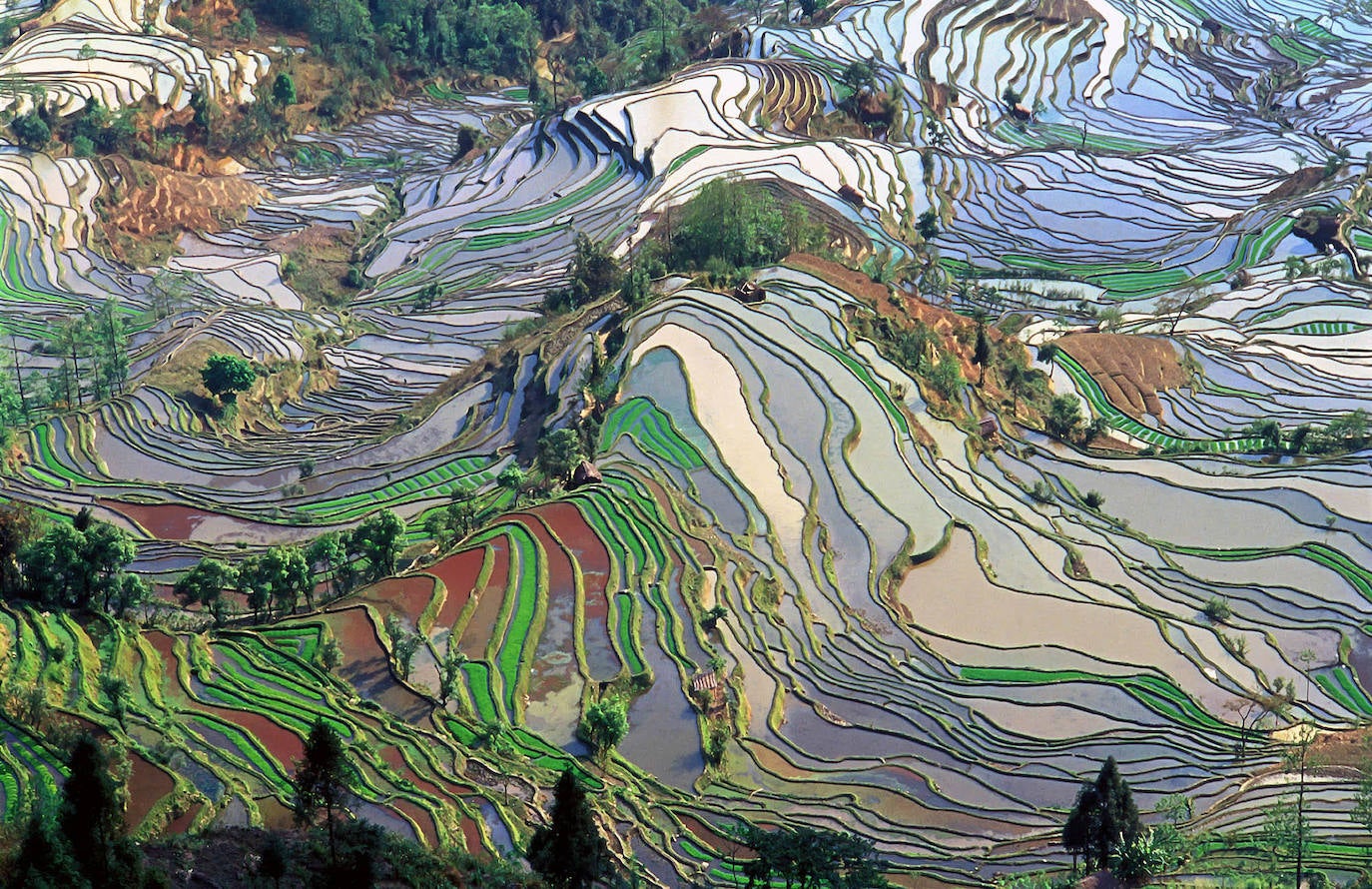 Yuanyang (China) | Es uno de los destinos preferidos por los fotógrafos a nivel mundial. Sus vistas aéreas son espectaculares, con terrazas de cientos de colores formadas por campos de arroz, que sólo ofrecen una cosecha al año por las condiciones del clima. 