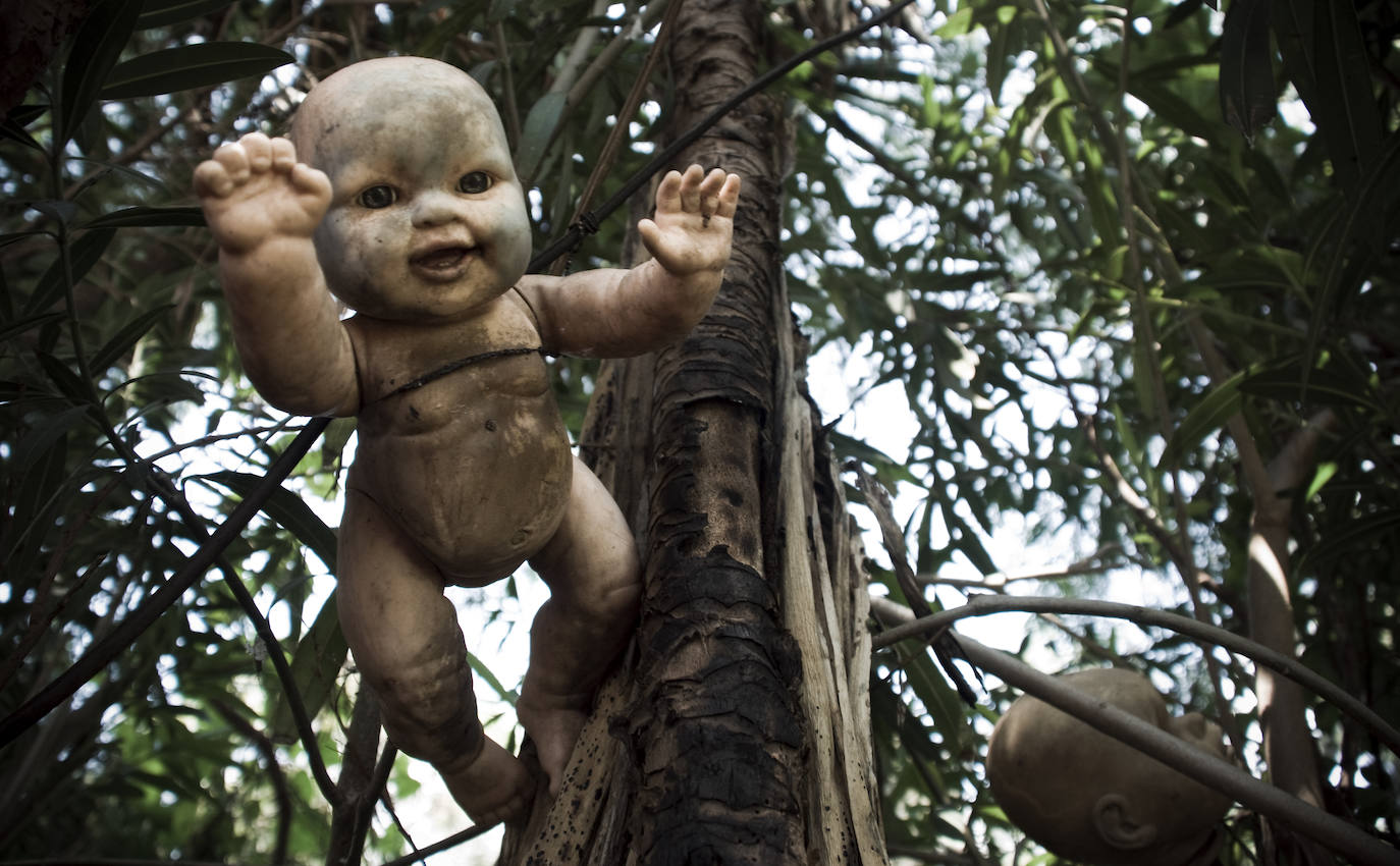 La Isla de las Muñecas (México) | Xochimilco es un lugar de los más extraños del planeta, completamente desierto y plagado de siniestras muñecas. La leyenda cuenta que el único habitante del lugar comenzó a colgarla para una niña que falleció en uno de los canales de la isla.