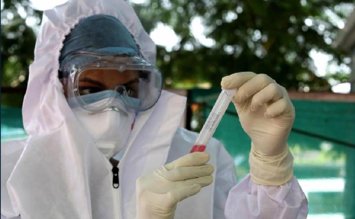 Un sanitario observa una muestra. 