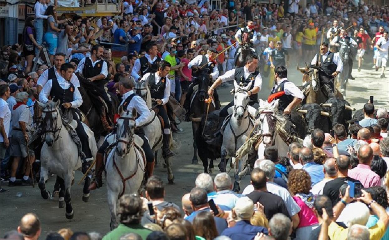 ENTRADA DE BOUS I CAVALLS DE SEGORBE. Esta fiesta popular de la localidad castellonense de Segorbe se remonta al siglo XIV, y tiene su origen en el traslado de reses a la plaza de toros.