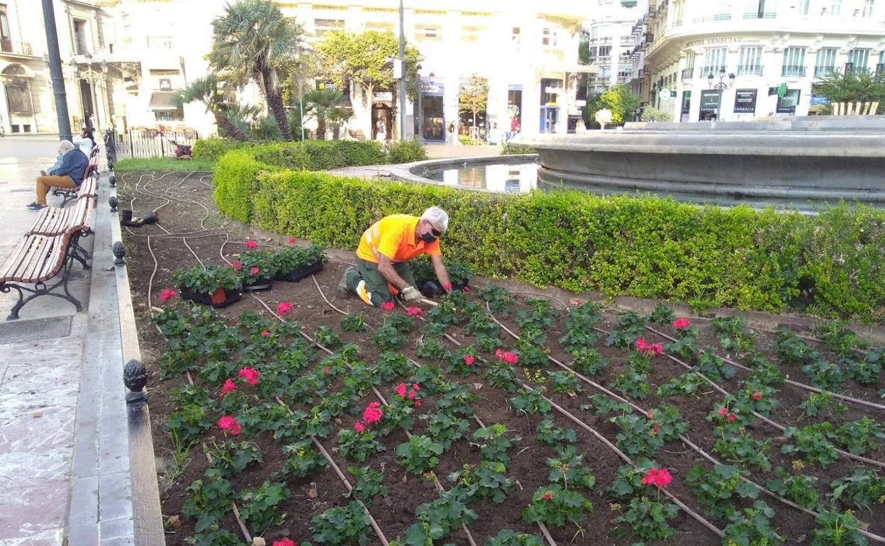 Un operario trabaja en una zona ajardinada de Valencia