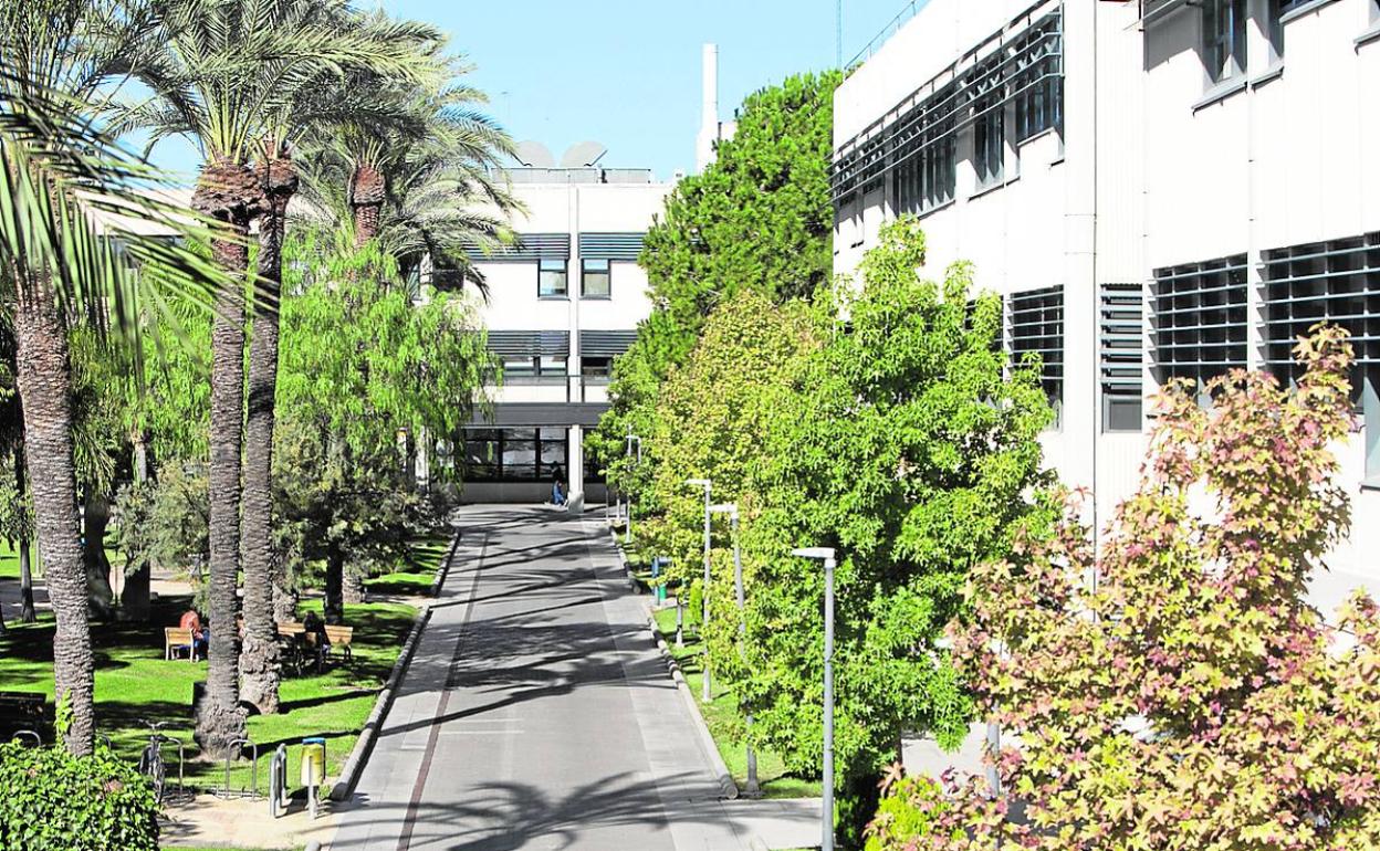 El campus de Vera, vacío, el primer día de suspensión de las clases presenciales. 