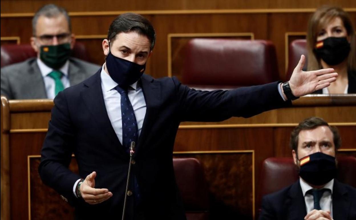 Santiago Abascal en el Congreso de los Diputados.
