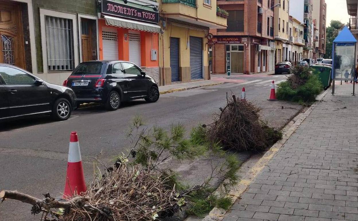 Algunos de los nidos y ramas que se han retirado. 