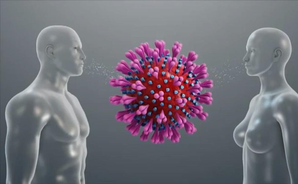 ¿Cuánto tiempo protegen los anticuerpos contra el coronavirus?