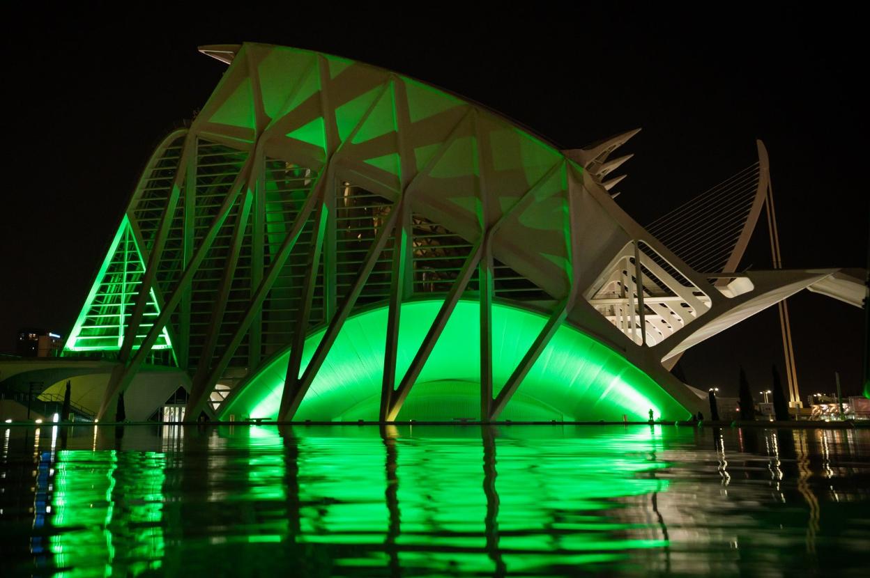 El Museu se iluminará de color verde a partir de las 20 horas. lp 