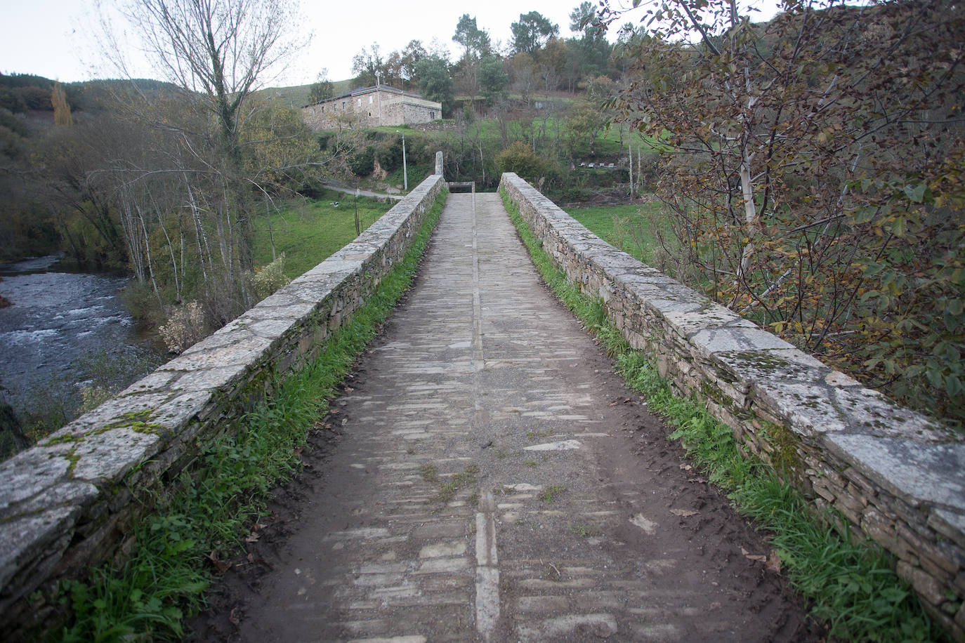 La sierra de Os Ancares es un paraje de visita obligatoria. Situada en el este de la provincia de Lugo, en la frontera con las comunidades vecinas de Castilla y León y El Principado de Asturias, se distribuye a lo largo de más de 50.000 hectáreas. Con una infinita red de senderos cruza profundos valles y asciende hasta cumbres de 2.000 metros de altura. En otoño el manto vegetal adquiere tonos rojizos. En invierno, esta zona permanece cubierta por la nieve, algo que cambia con la llegada de la primavera, cuando las aguas del deshielo fluyen desde las cumbres hasta las zonas bajas, formando numerosos riachuelos y pequeñas cascadas. 