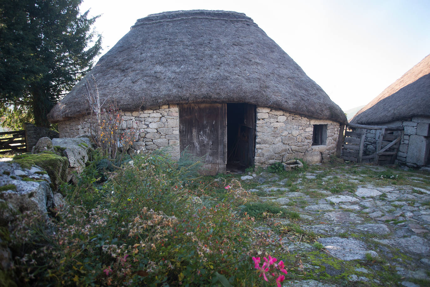 La sierra de Os Ancares es un paraje de visita obligatoria. Situada en el este de la provincia de Lugo, en la frontera con las comunidades vecinas de Castilla y León y El Principado de Asturias, se distribuye a lo largo de más de 50.000 hectáreas. Con una infinita red de senderos cruza profundos valles y asciende hasta cumbres de 2.000 metros de altura. En otoño el manto vegetal adquiere tonos rojizos. En invierno, esta zona permanece cubierta por la nieve, algo que cambia con la llegada de la primavera, cuando las aguas del deshielo fluyen desde las cumbres hasta las zonas bajas, formando numerosos riachuelos y pequeñas cascadas. 