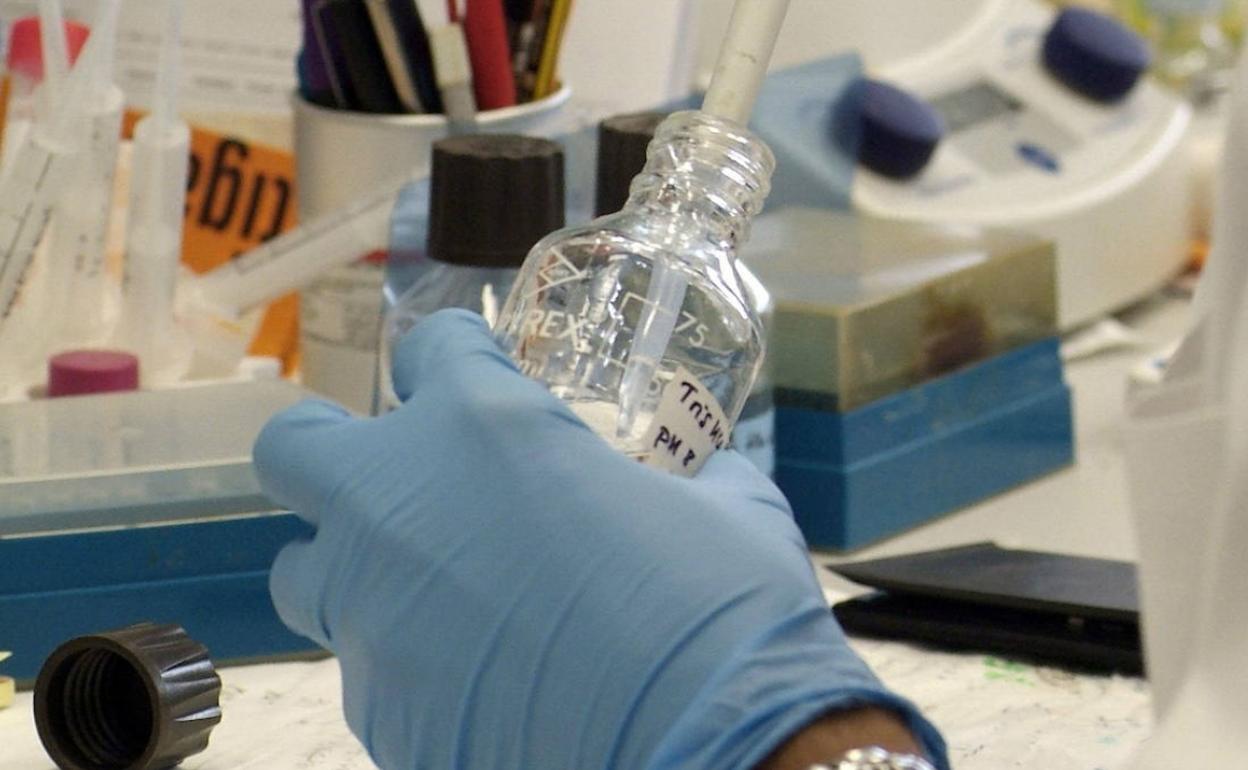 Un trabajador en un laboratorio, en una imagen de archivo. 
