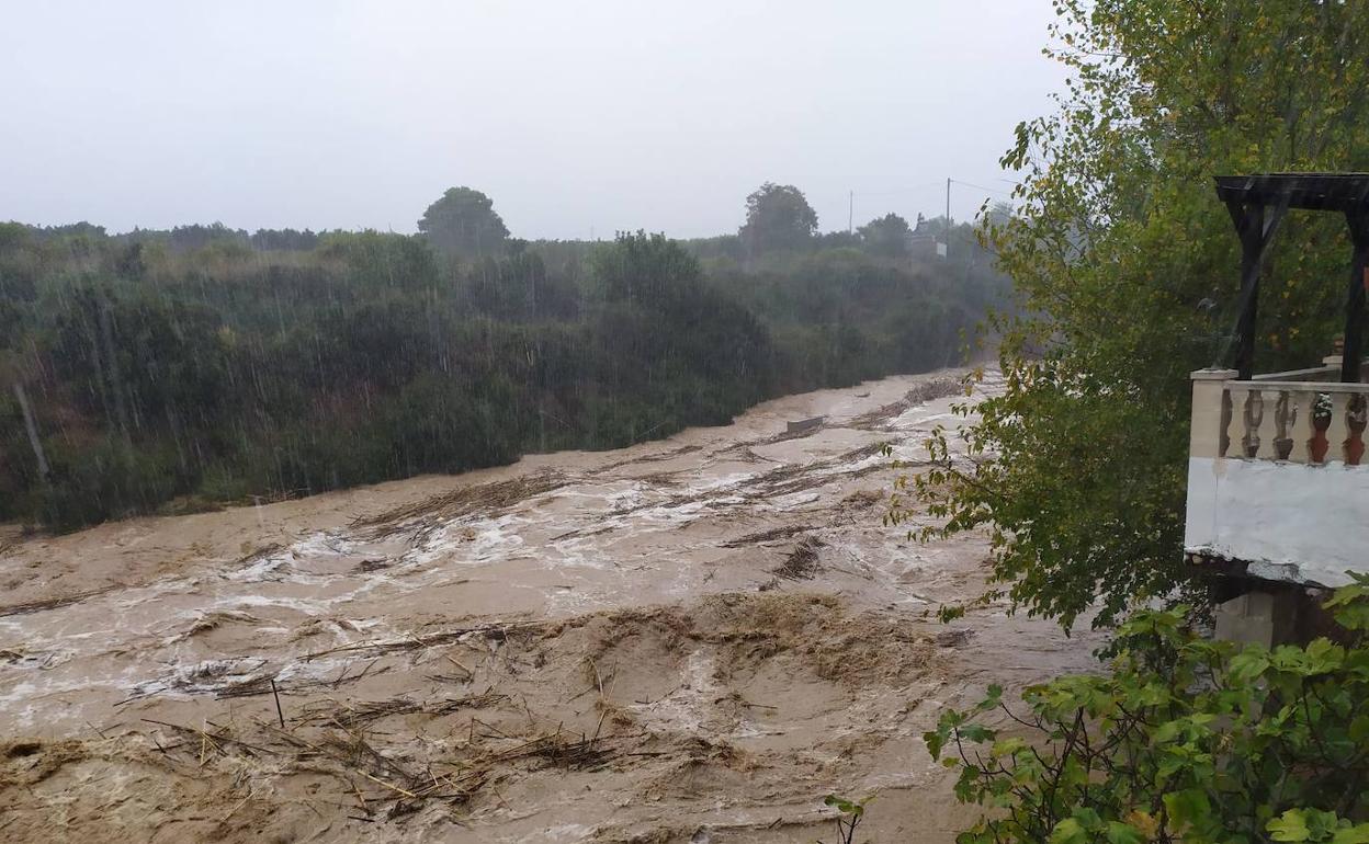 El cauce del barranco de Horteta a su paso por el Pantano. 