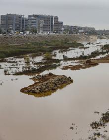 Imagen secundaria 2 - Lluvia en Valencia | Lagos bajo el bosque y viales cortados en el Jardín del Túria de Valencia