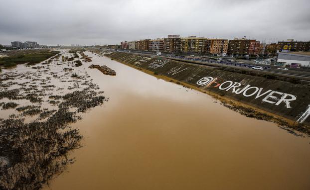 Imagen principal - Lluvia en Valencia | Lagos bajo el bosque y viales cortados en el Jardín del Túria de Valencia